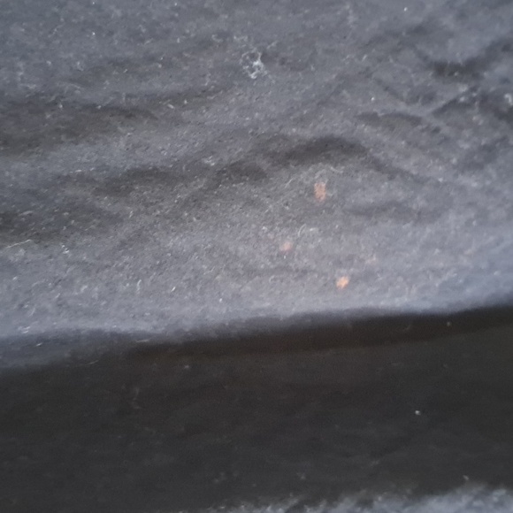 Pacifica Motley Crue Black Cotton Fabric - Picture 6 of 6